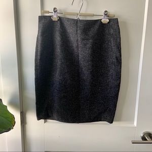 NWT Skirt